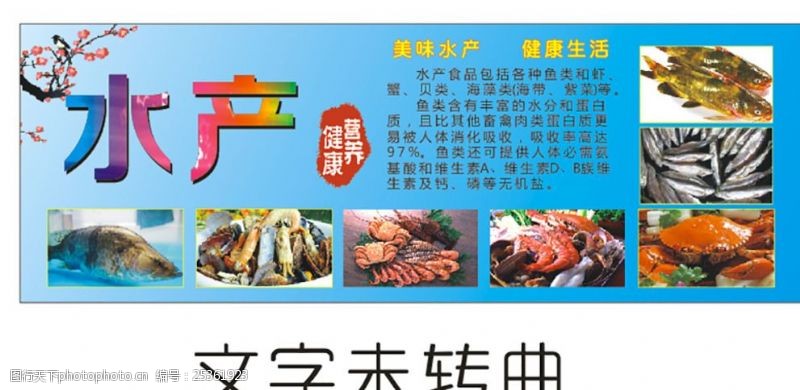 探尋海洋鮮味 水產海鮮海報圖片素材全解析
